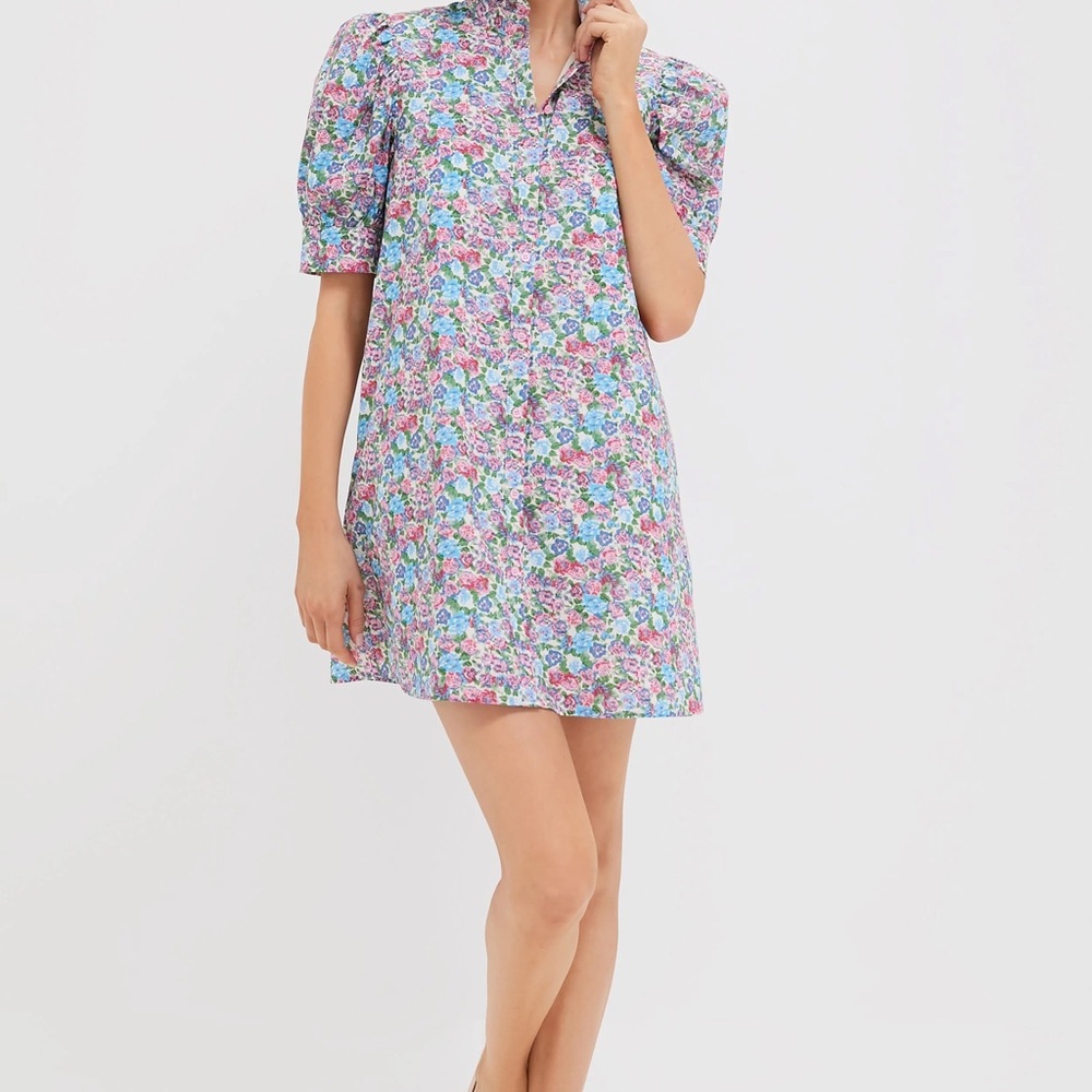 Tuckernuck Multicolor Floral Mini Dress